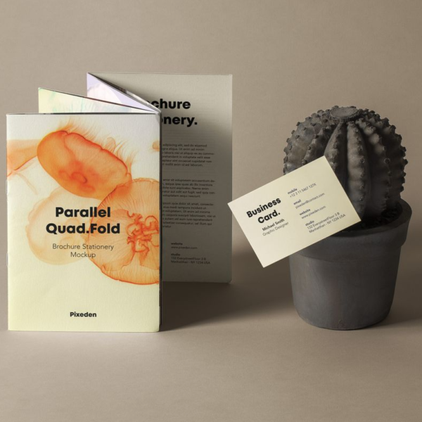 Quad Fold PSD Brochure Mockup