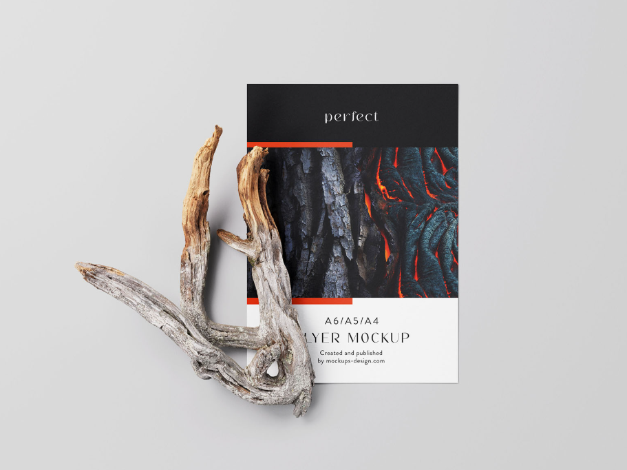 Single A4 Flyer Dry Branch Mockup