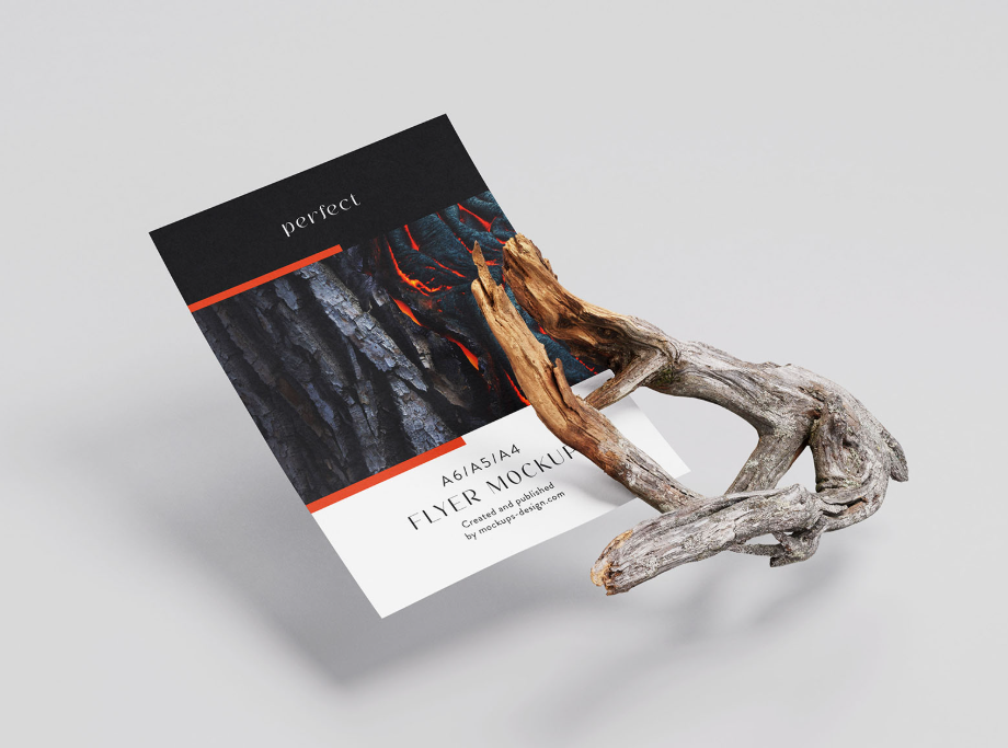 Single A4 Flyer Dry Branch Mockup