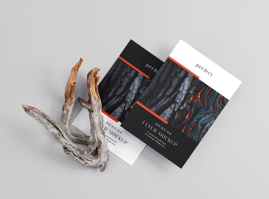 Single A4 Flyer Dry Branch Mockup