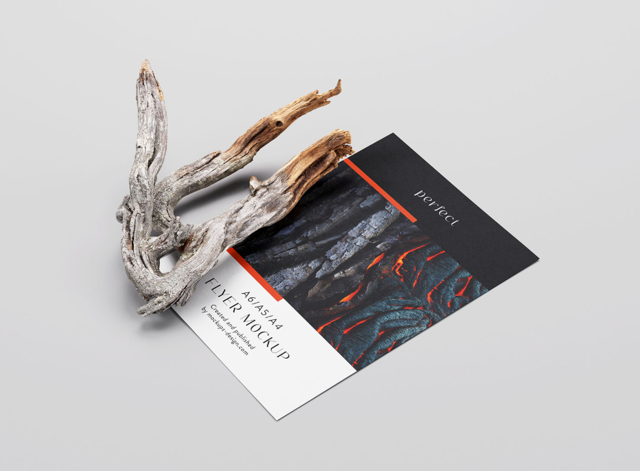 Single A4 Flyer Dry Branch Mockup