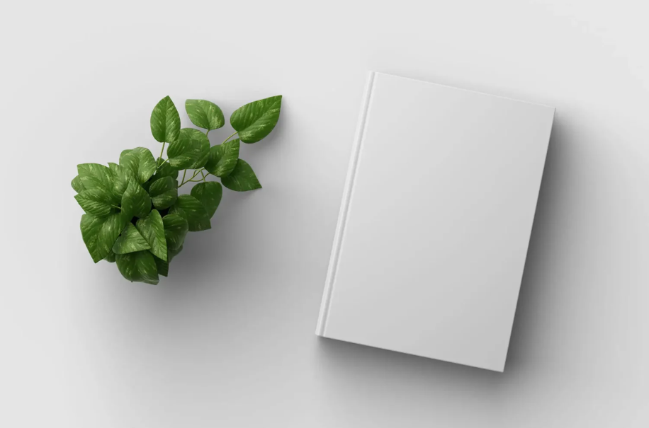 Book cover Mockup for clean Design