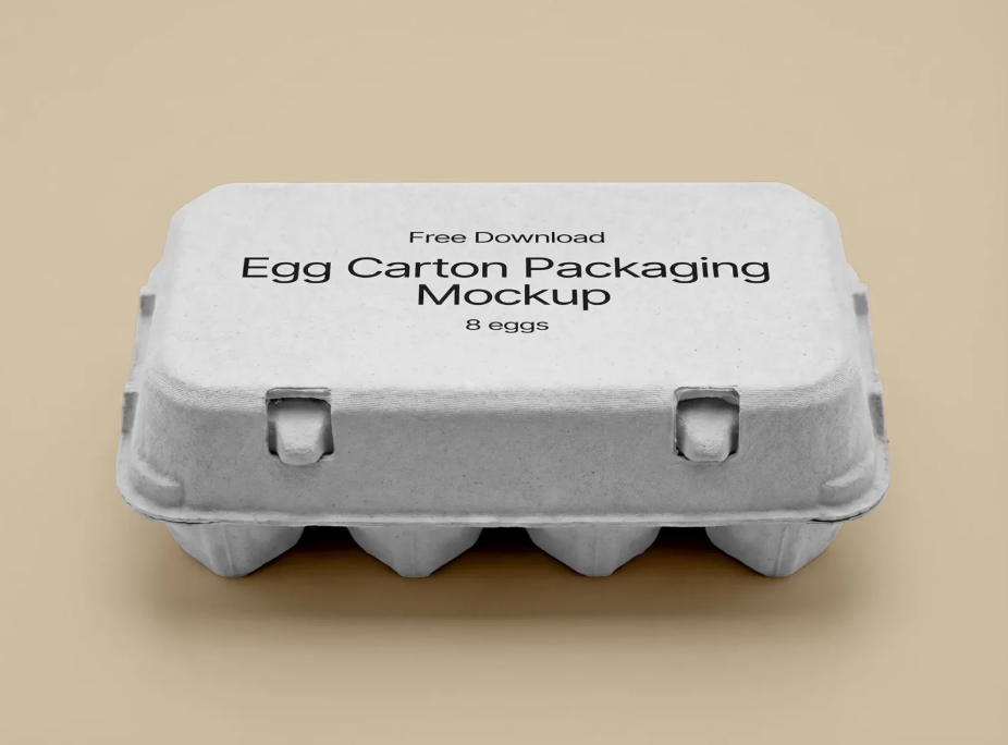 Egg carton Mockup for clean Packaging Design