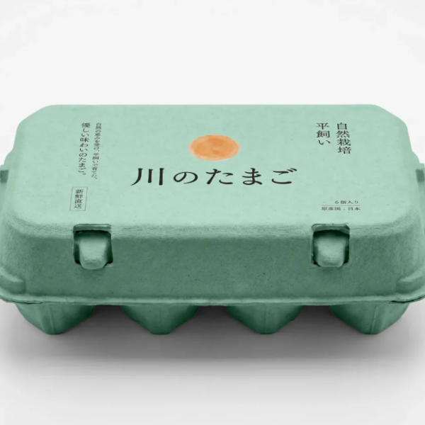 Egg carton Mockup for clean Packaging Design