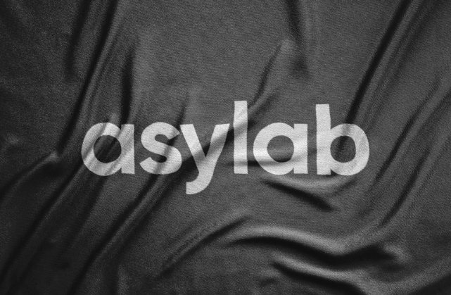 Logo Mockups on Fabric & Paper PSD