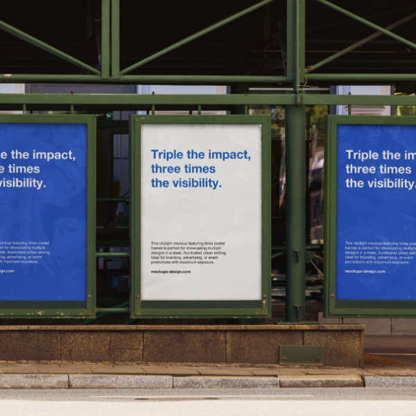 Three Posters in Metal Frames Mockup