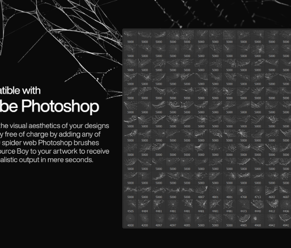 200 Spider Web Photoshop Brushes