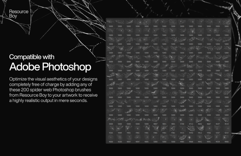 200 Spider Web Photoshop Brushes