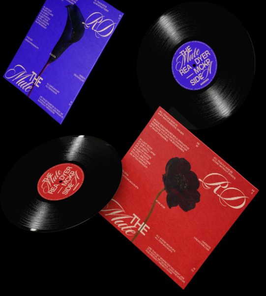 Free Vinyl Record and cover Mockups Floating in the Air Front View