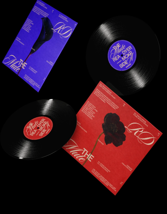 Free Vinyl Record and cover Mockups Floating in the Air Front View