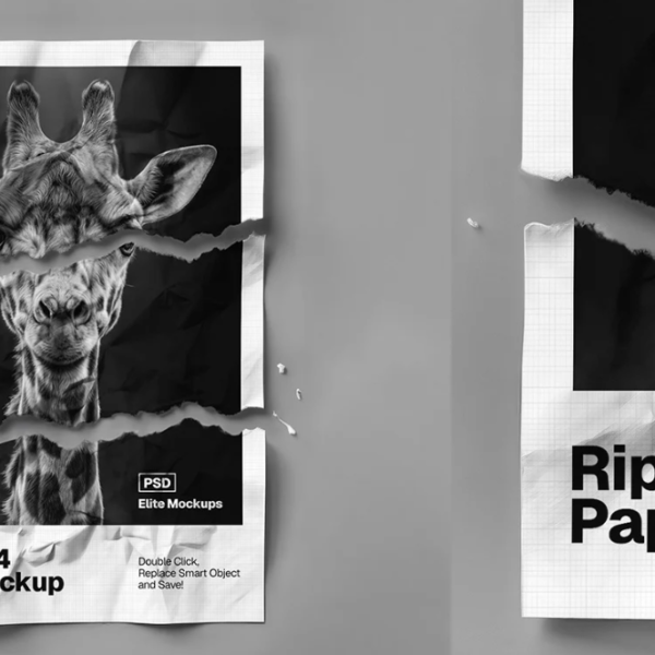 Three Piece Ripped A4 Paper Mockup