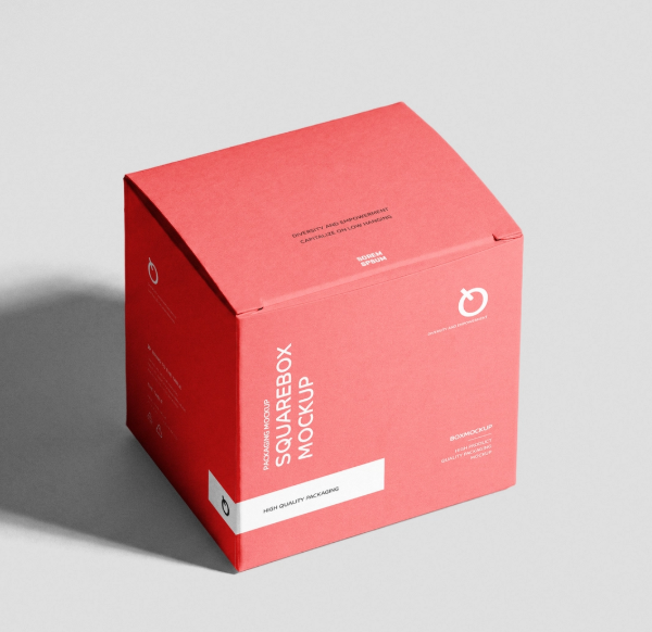 Free Square Box mockup